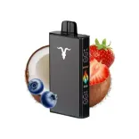 Ignite - V250 Black - 25000 PUFF - BLUE STRAW COCO