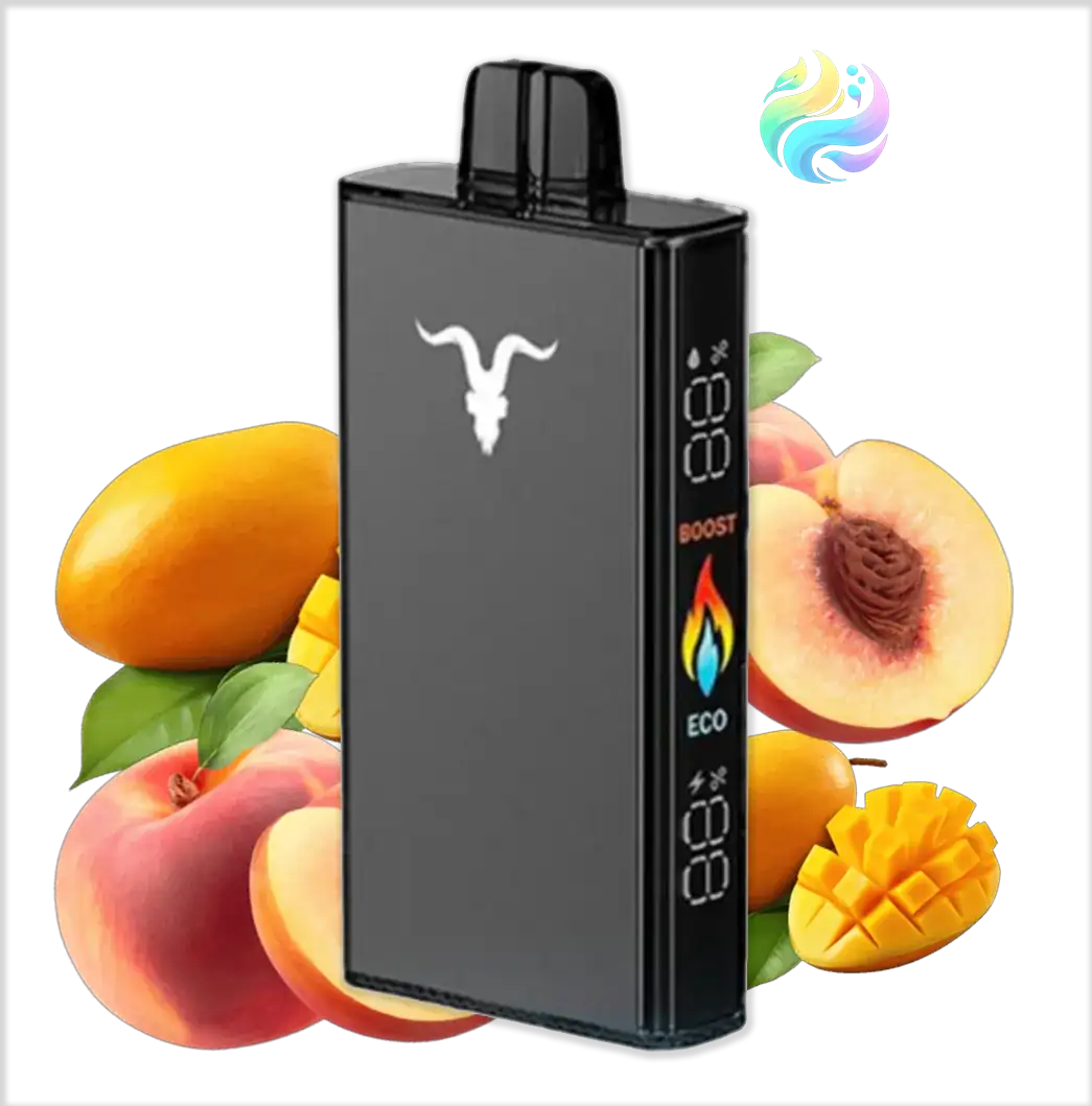Ignite V250 - Black 25000 PUFF - PEACH MANGO