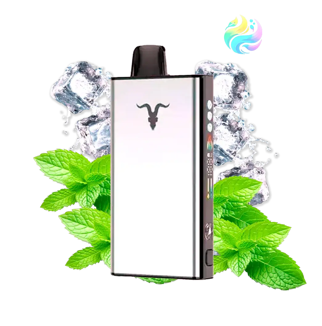 Ignite ICE - Silver 40000 PUFF - Mint